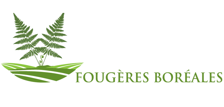 Logo Les Productions Fougères Boréales