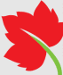 Logo Justenbois