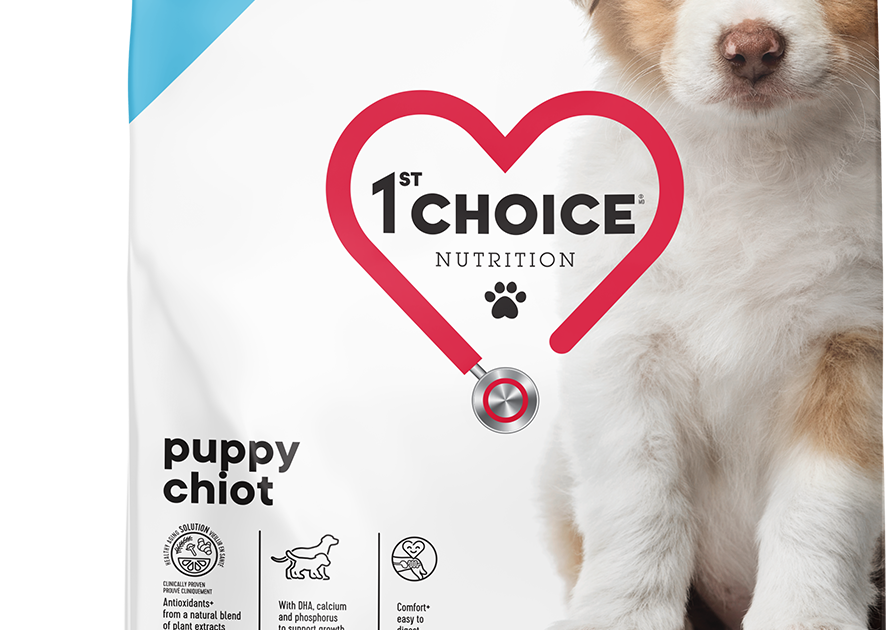 Chiot