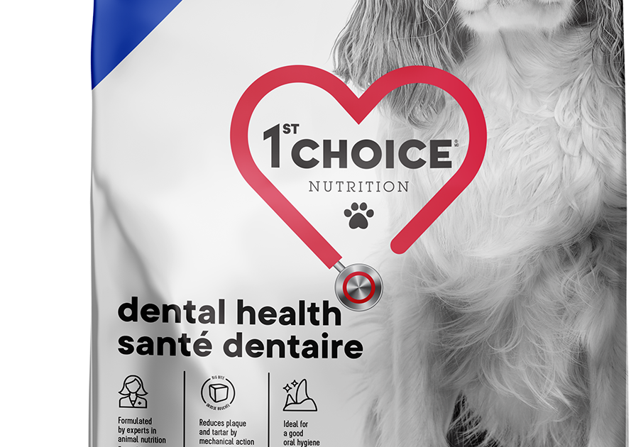 Santé Dentaire