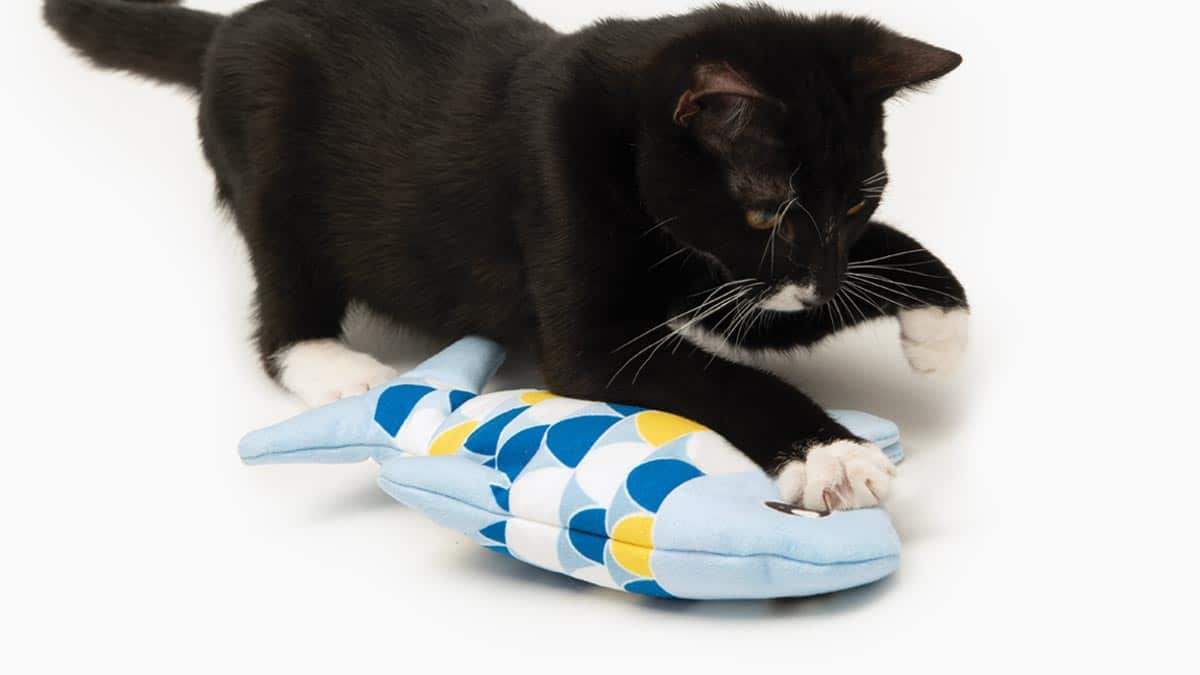 Catit Groovy Fish