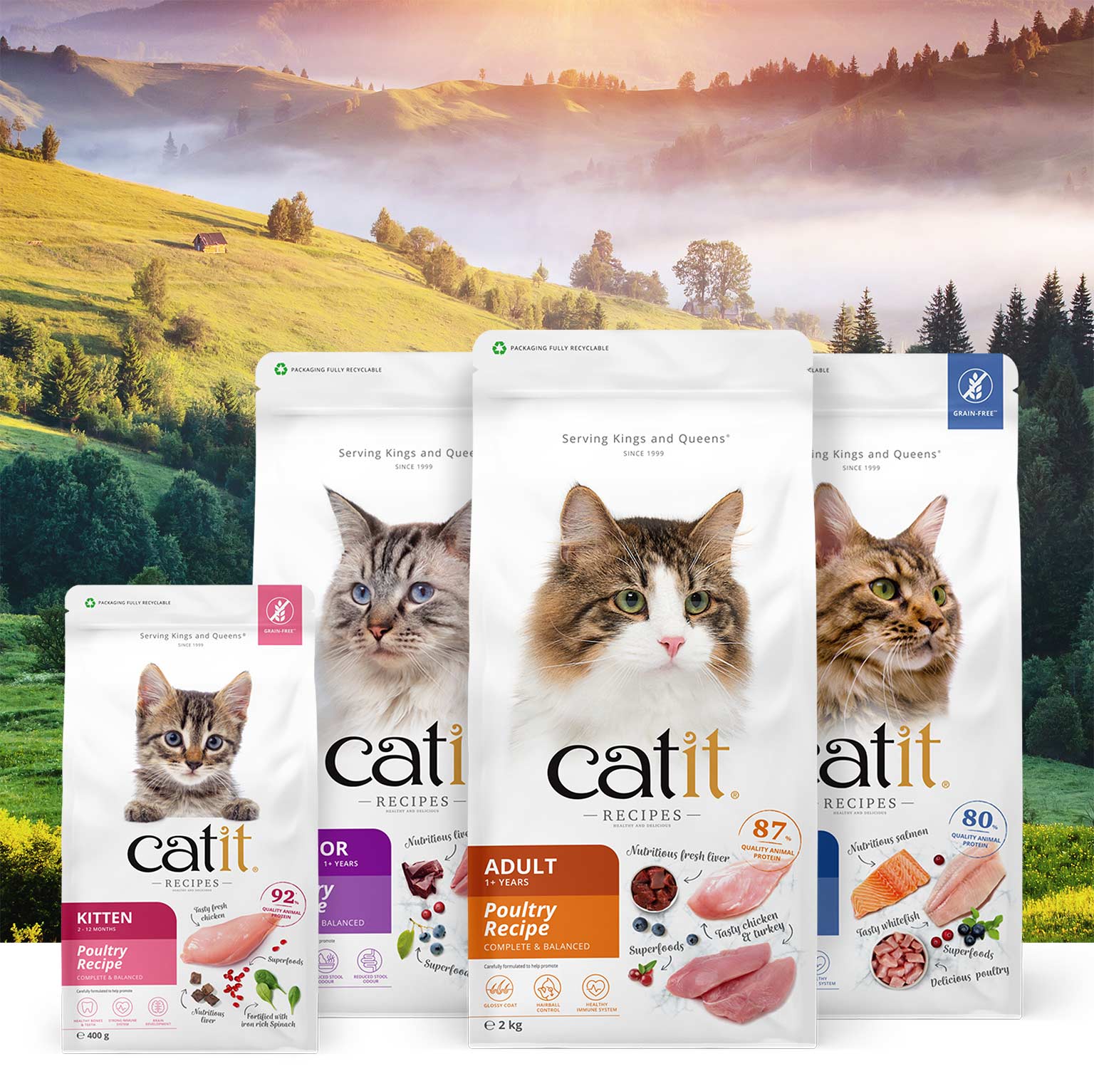 CATIT RECIPES – DRY FOOD