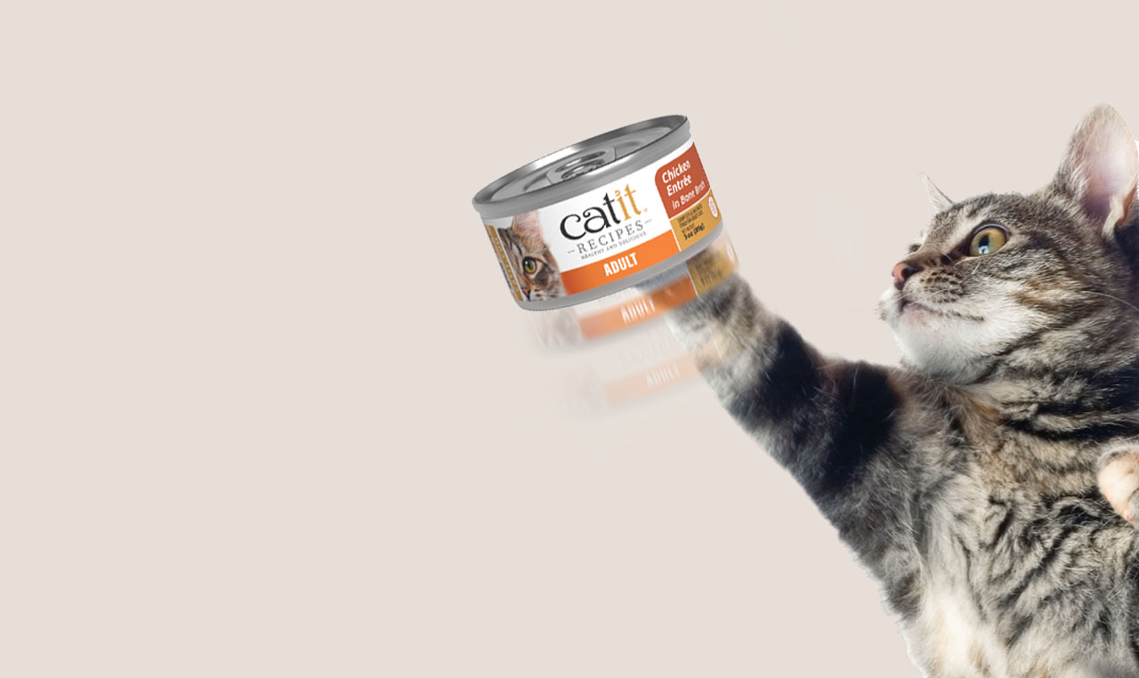 Catit Recipes Entrée