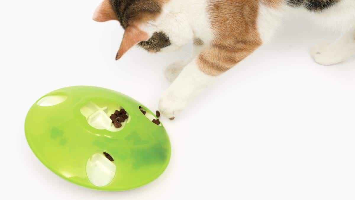 Catit Senses Treat Spinner