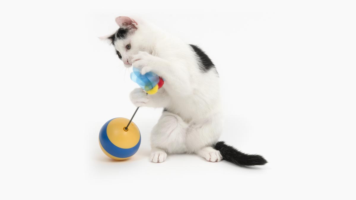 Catit Spinning Bee