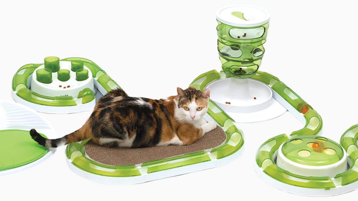 Catit Toys and Herbs