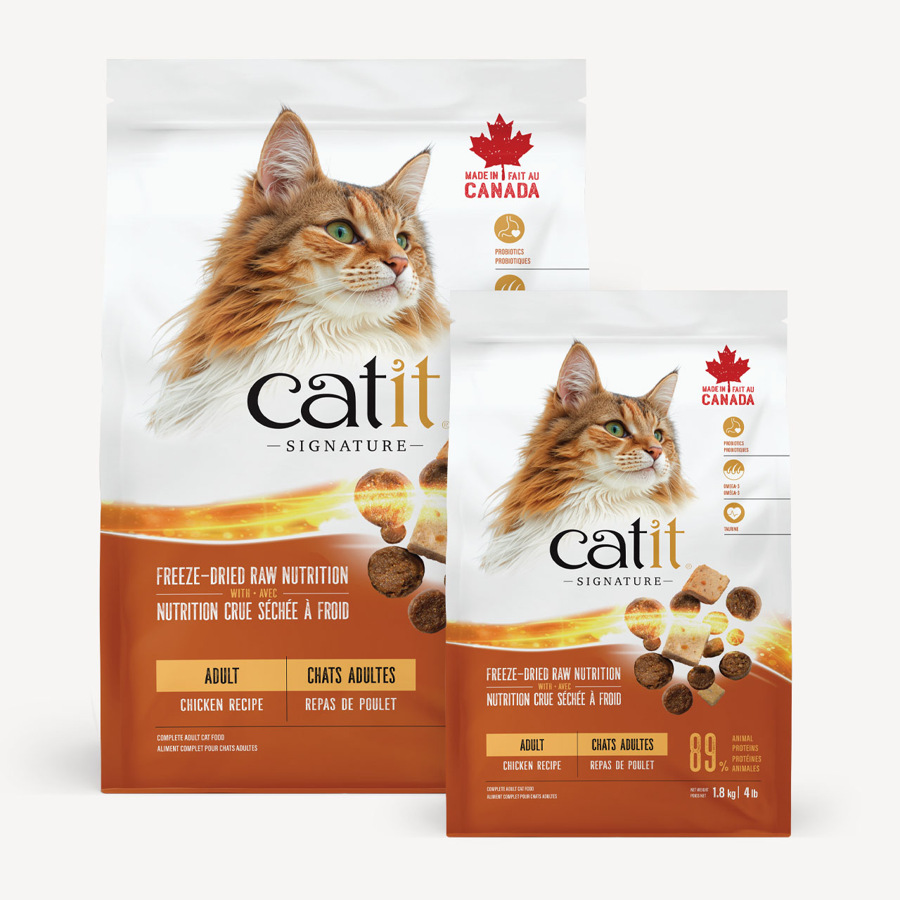 Chats adultes