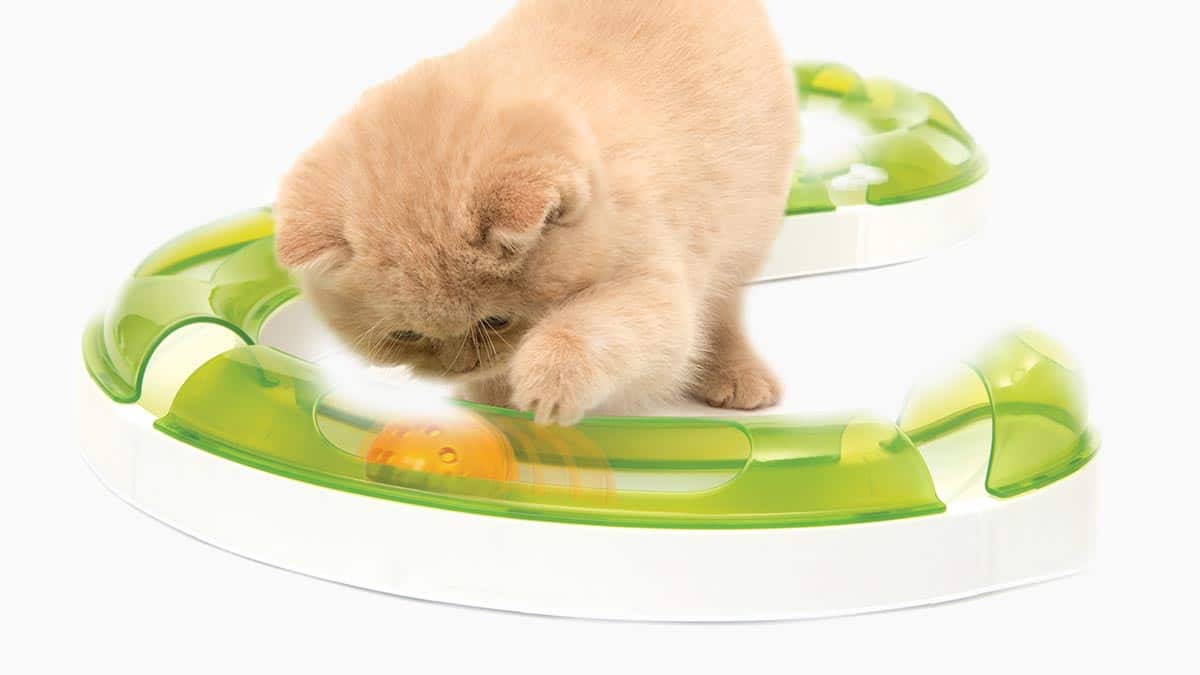 Circuits Catit Senses