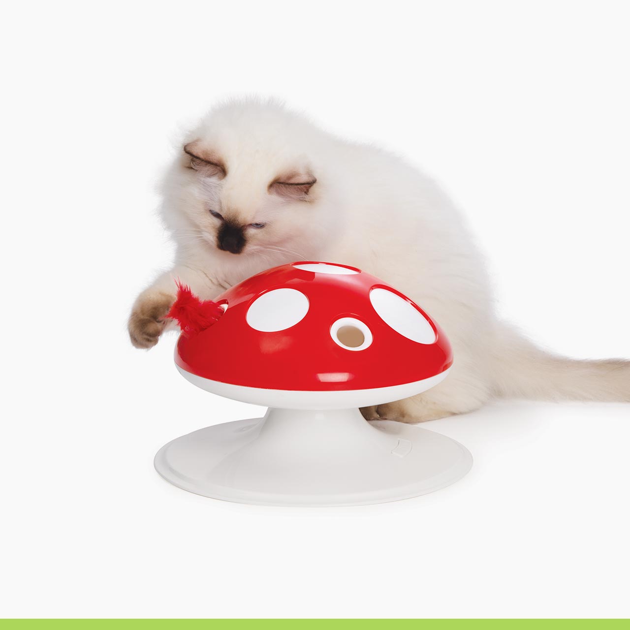 Cogumelo Catit Senses
