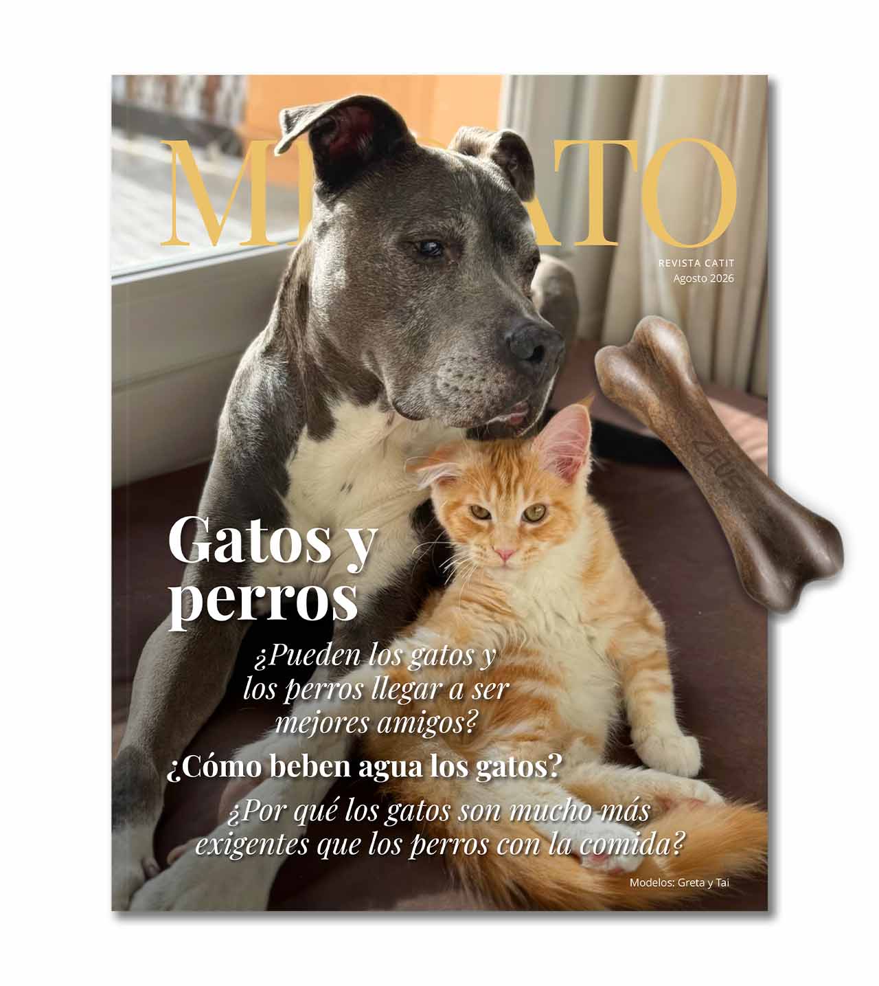 Gatos y perros