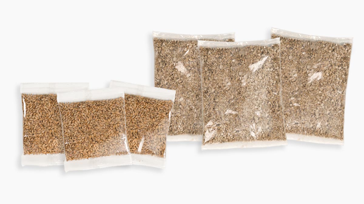 Senses Cat Grass Kit