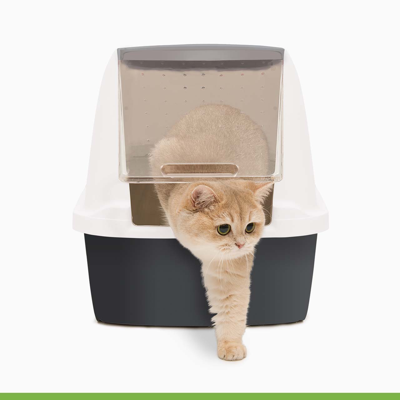 Toilette per gatti Catit con sistema di filtraggio Airsift
