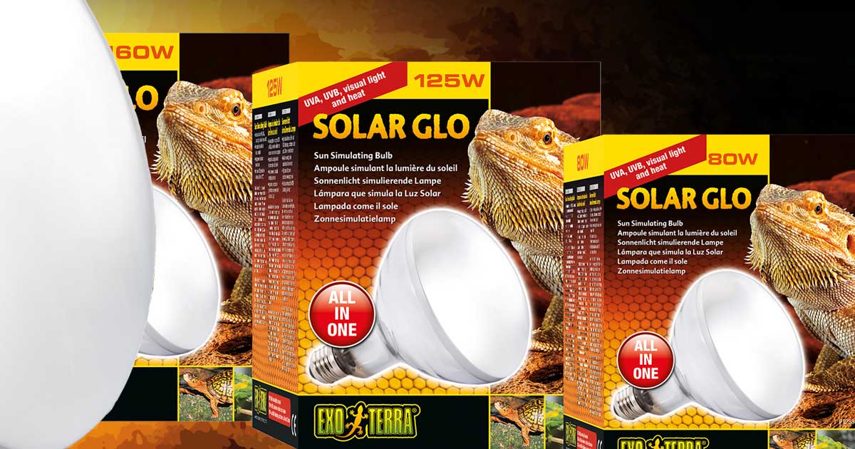All-In-One Bulbs