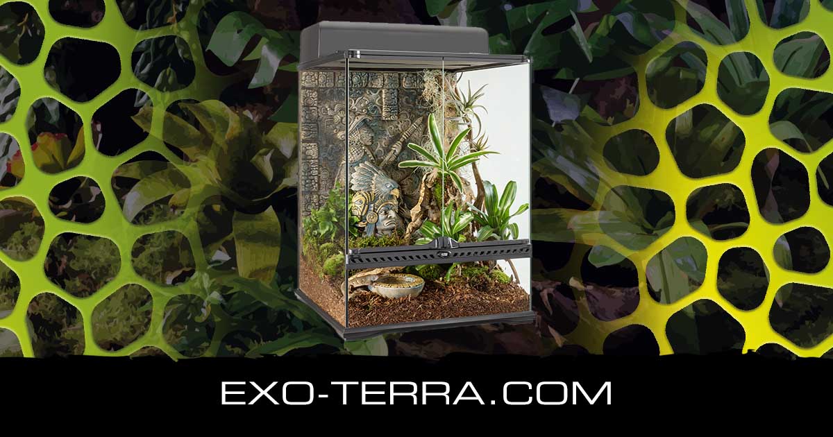 Aztec Terrarium Small Tall
