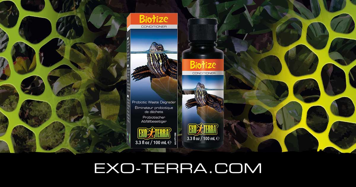 Biotize 4 fl oz – 120 ml