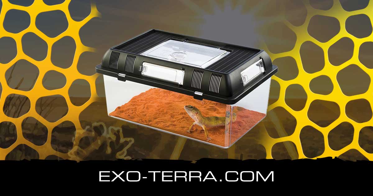 Breeding Box Medium