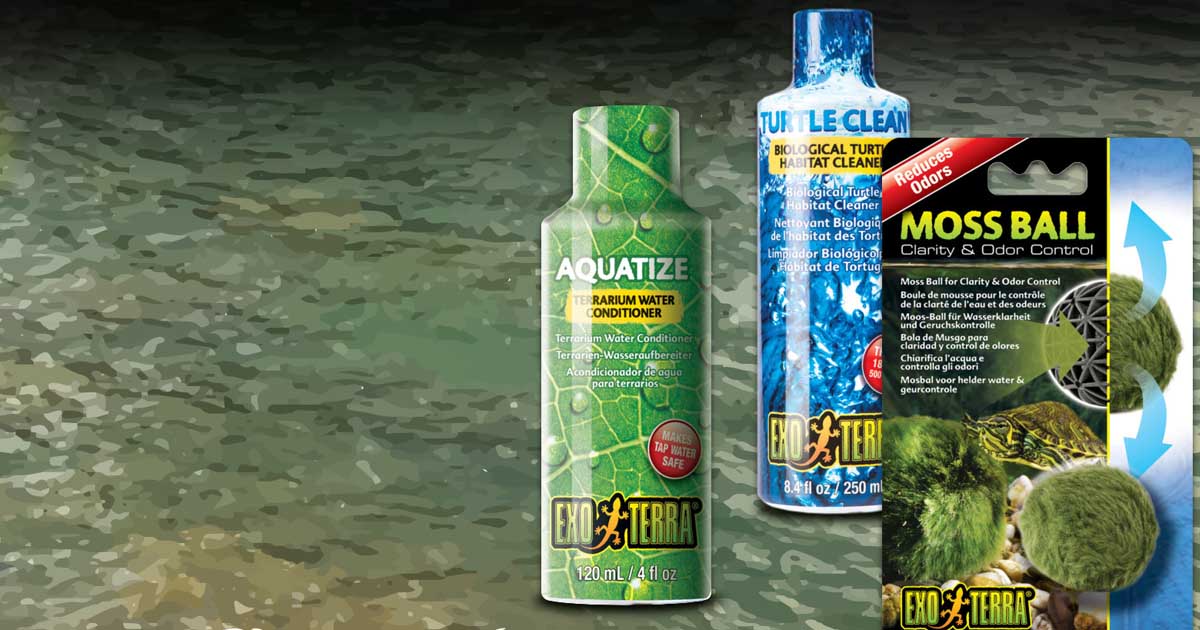Conditioners