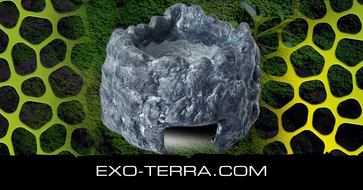 Corner Cave Small