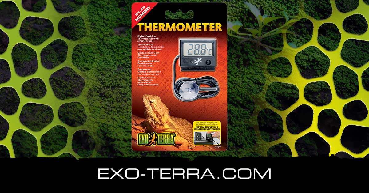 Digital Thermometer