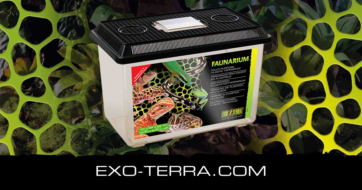 Faunarium Large