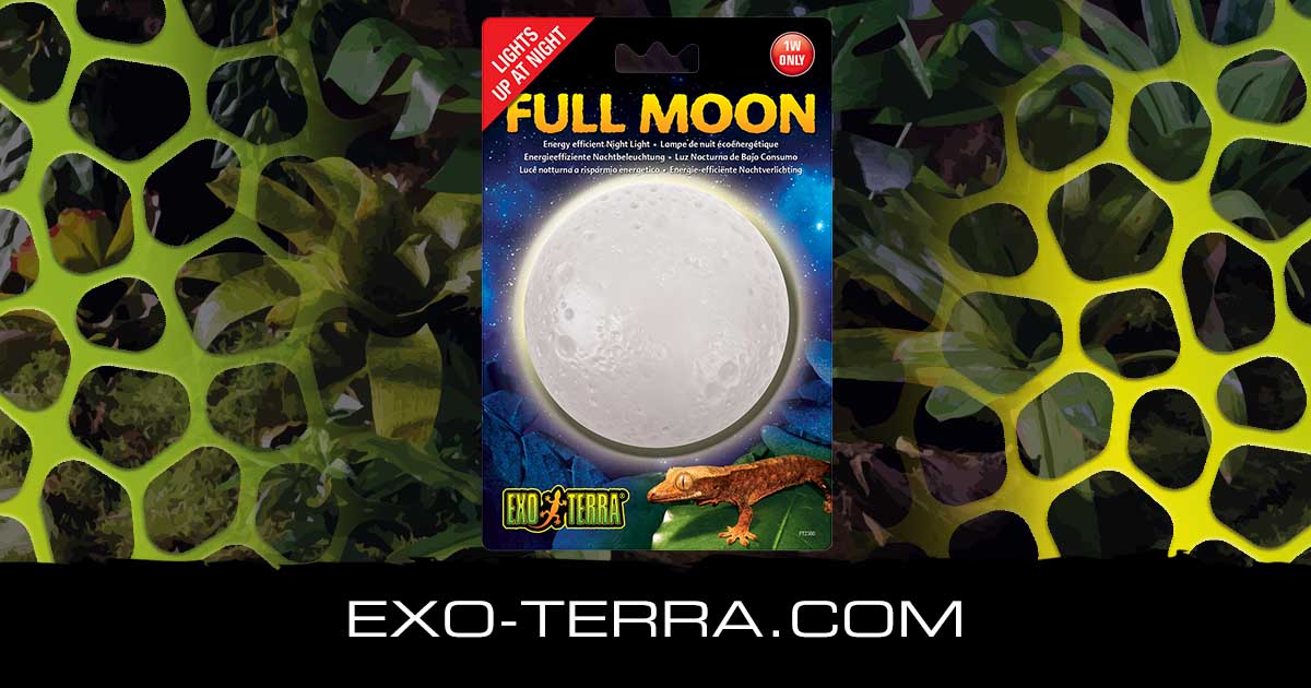Full Moon