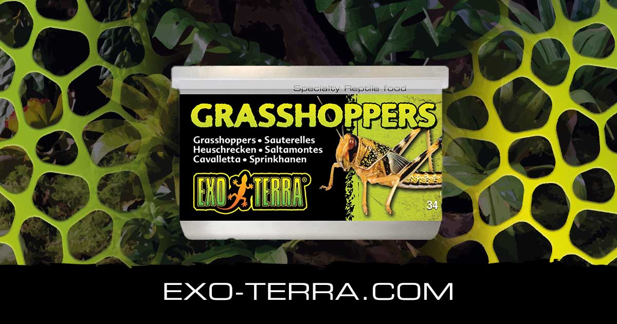 Grasshoppers 1.2 oz – 34g