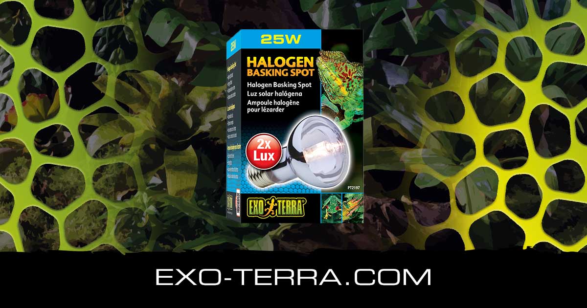 Halogen Basking Spot 25W
