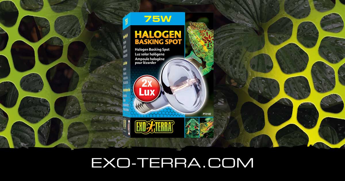 Halogen Basking Spot 50W