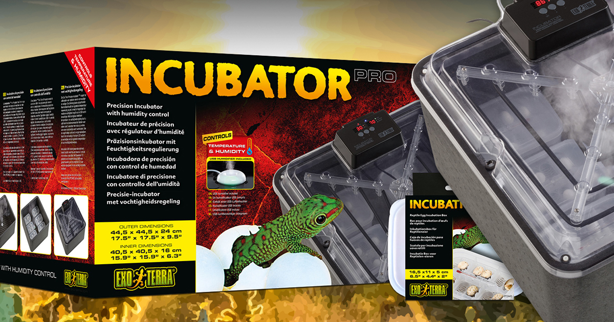 Incubation