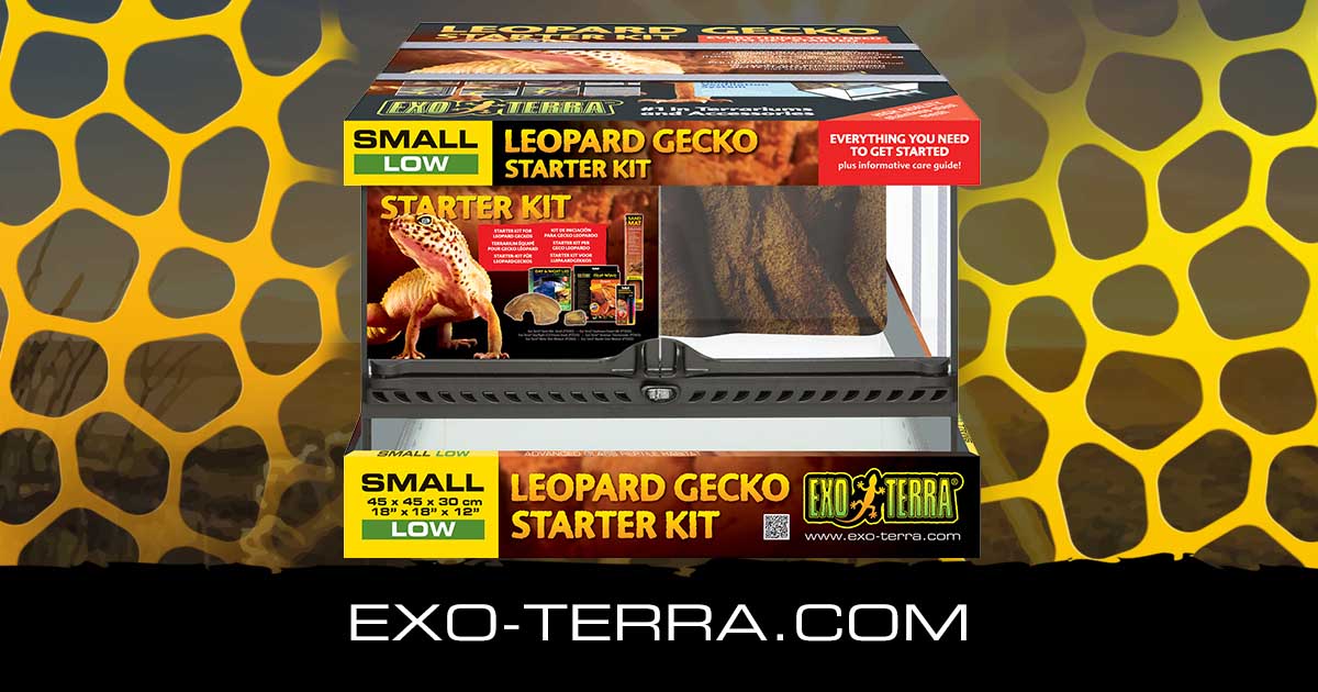 Leopard Gecko Starter Kit