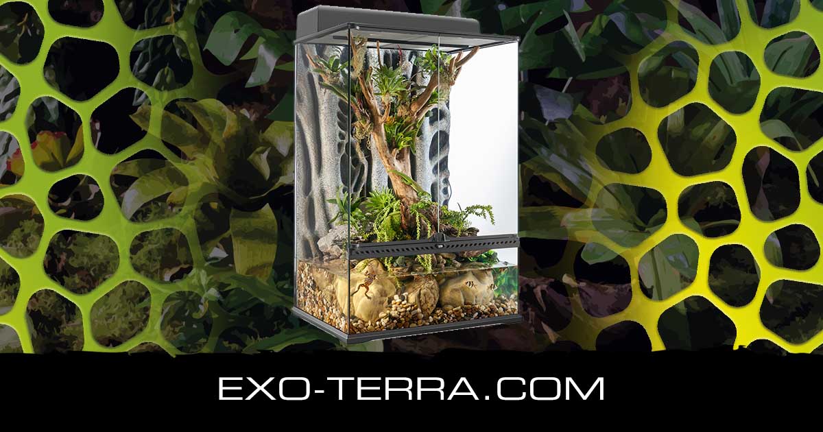 Natural Terrarium Medium X-Tall