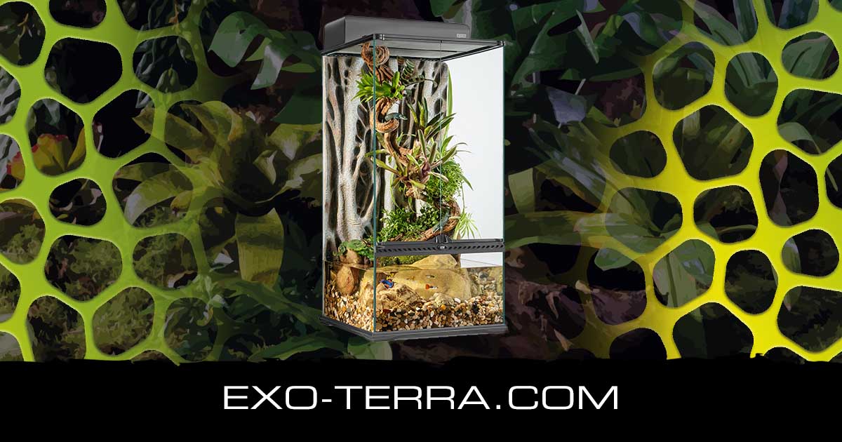 Natural Terrarium Small X-Tall