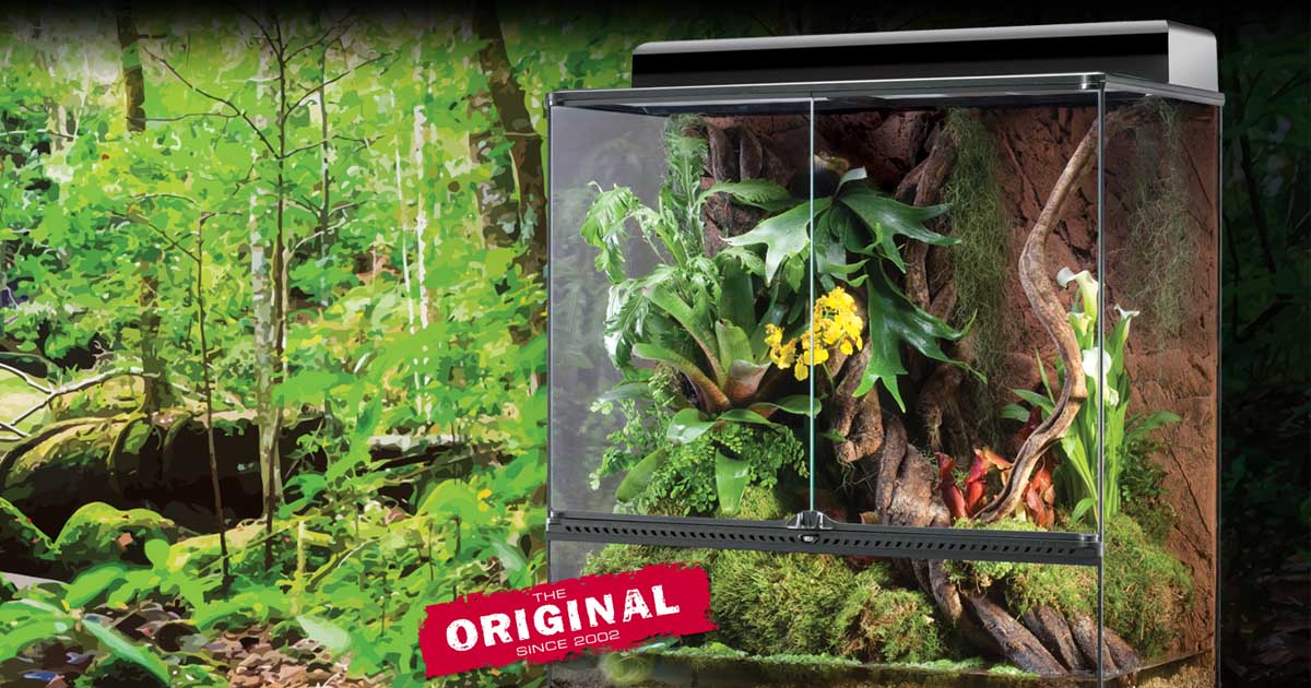 Natural Terrariums