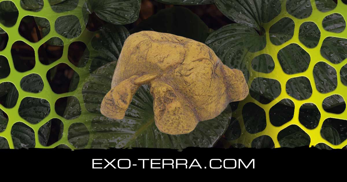 Reptile Pebble Cave Medium