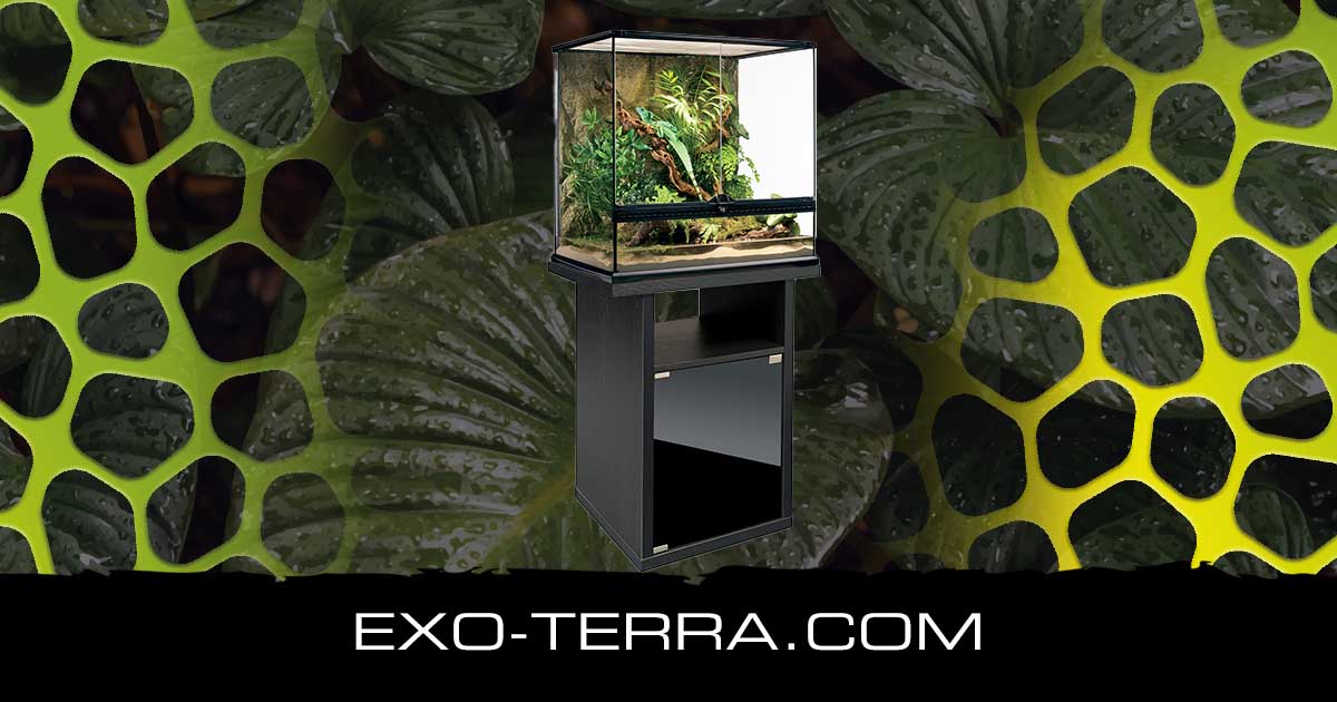 Terrarium Cabinet Medium