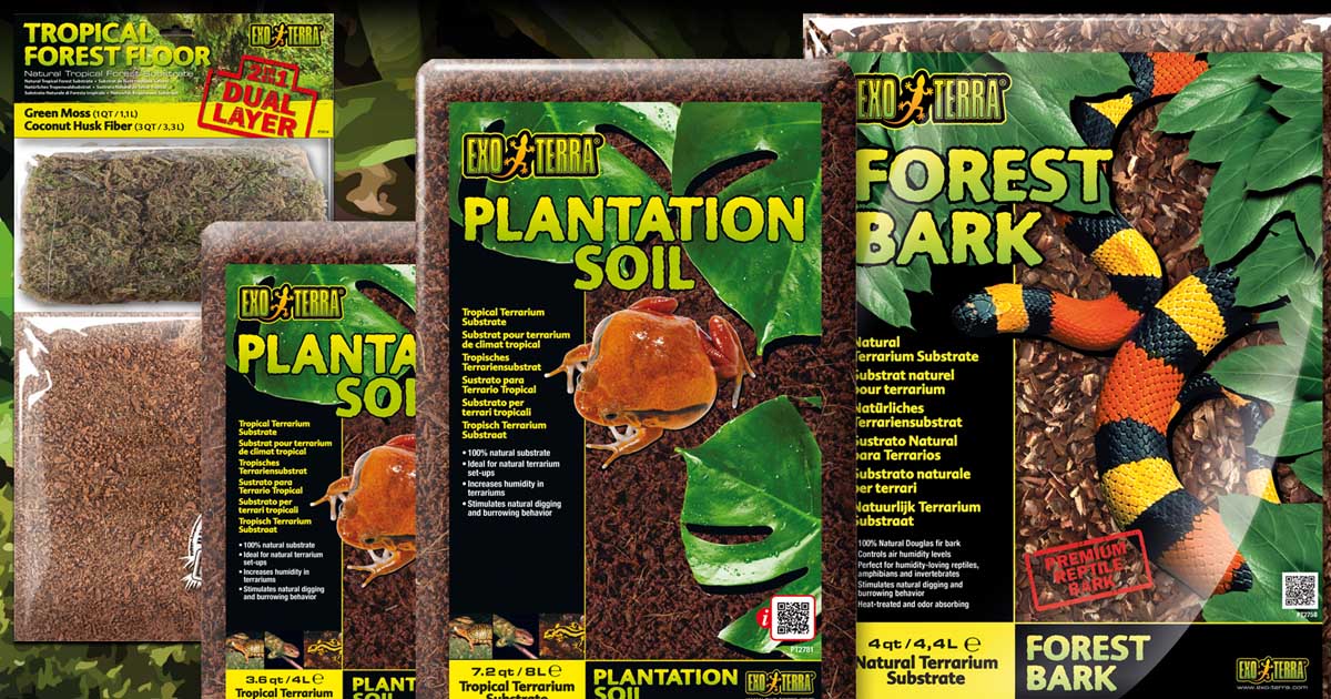 Tropical Substrates