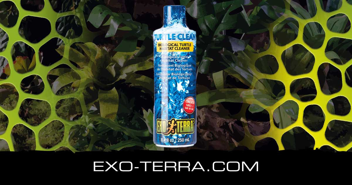 Turtle Clean 8 fl oz – 250 ml