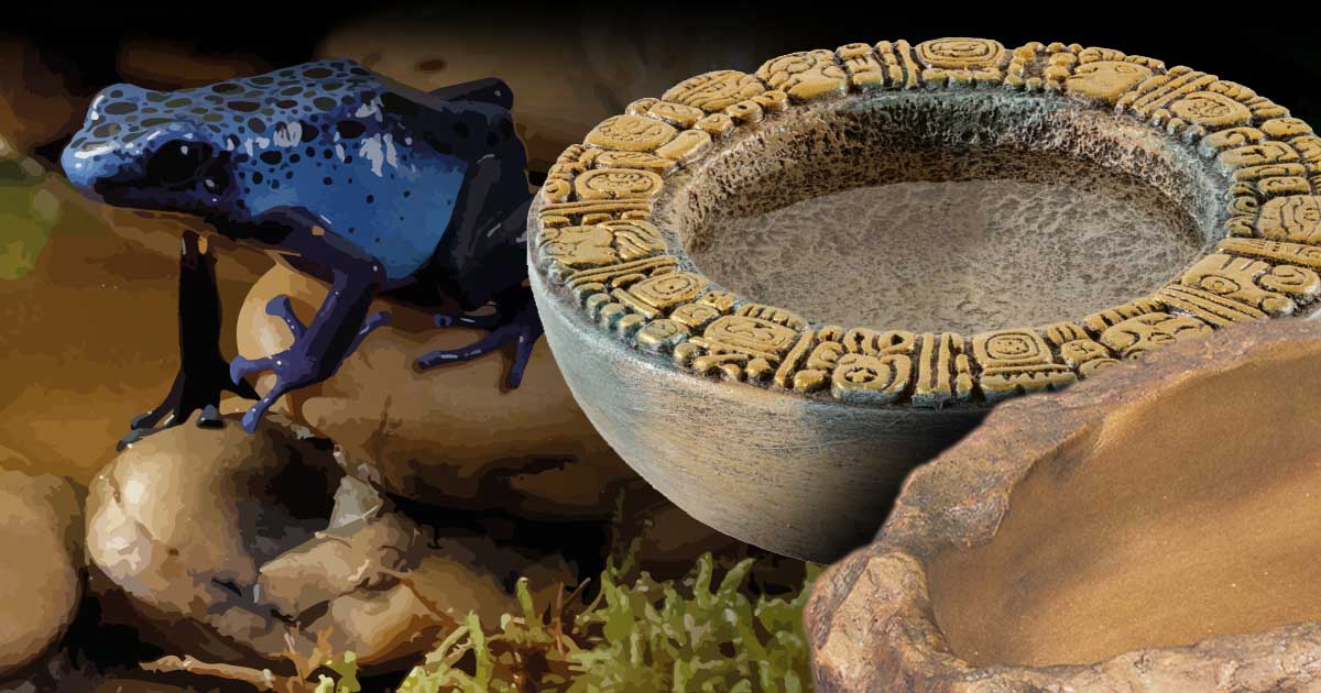 Water Dishes