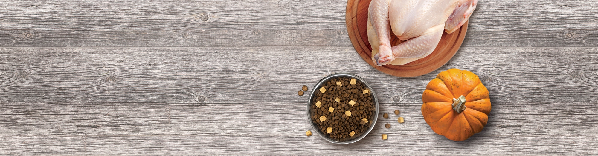 Croquettes à ingrédients limités pour chats Dinde et citrouille