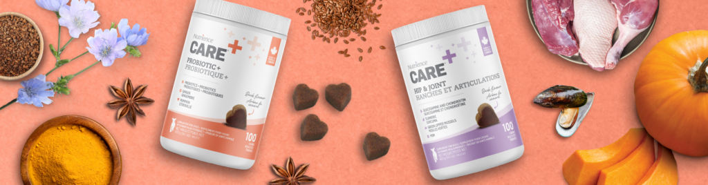 Dog Supplements