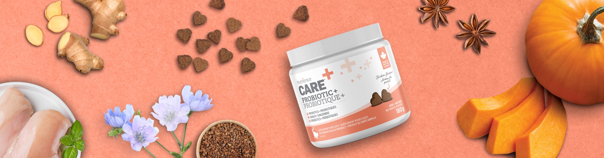 Probiotic Cat Supplement