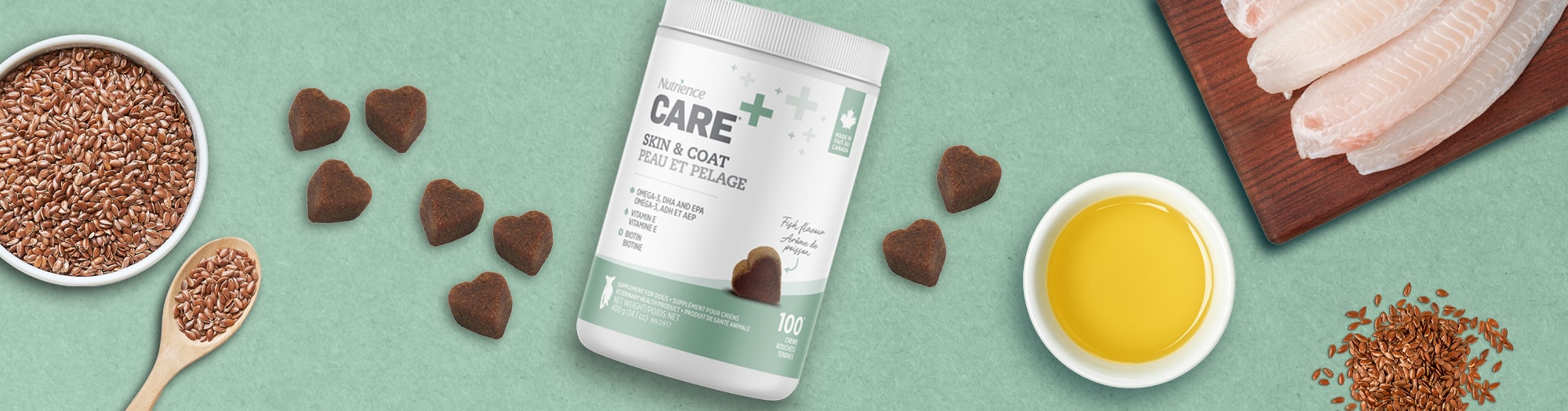 Supplément pour chiens, Peau et pelage