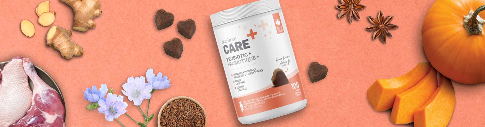 Supplément pour chiens, Probiotique