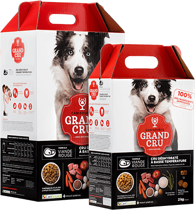 Low temperature dehydrated raw food