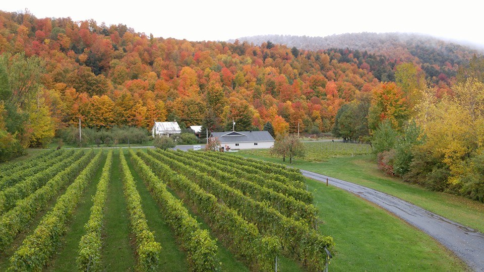 Domaine Le Grand-St-Charles
