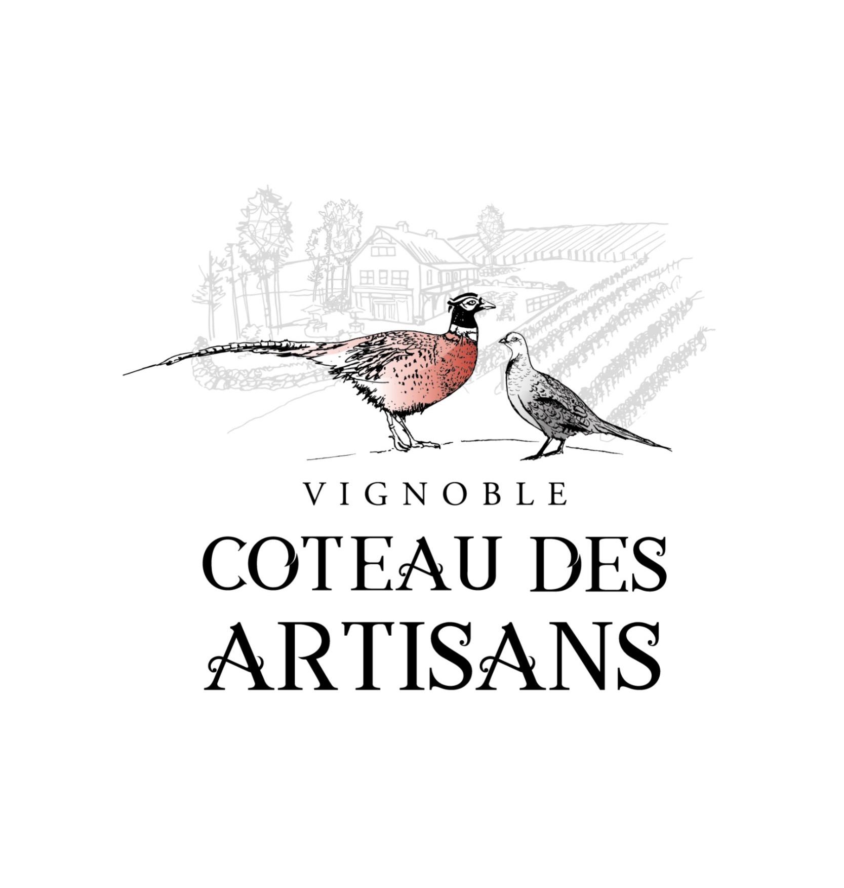 Vignoble Coteau Des Artisans