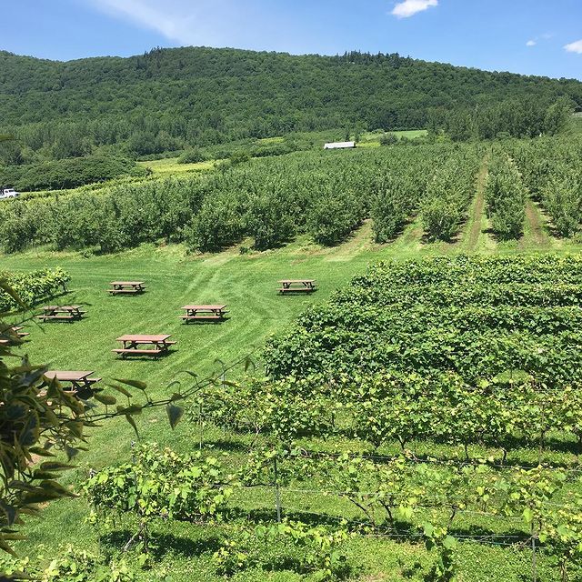 Vignoble Coteau St-Paul