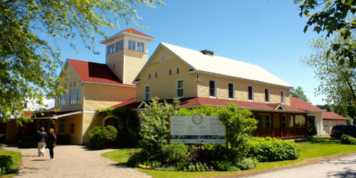 Vignoble De L'Orpailleur