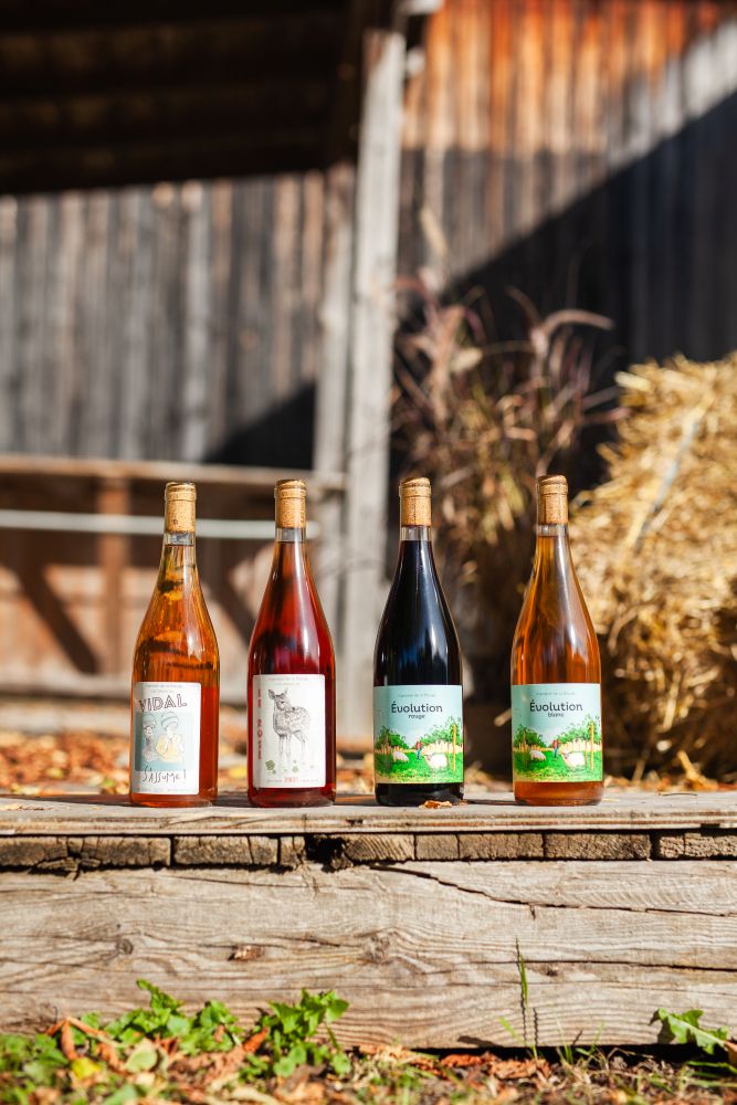 Vignoble De La Bauge