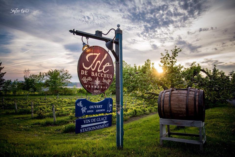 Vignoble Isle De Bacchus
